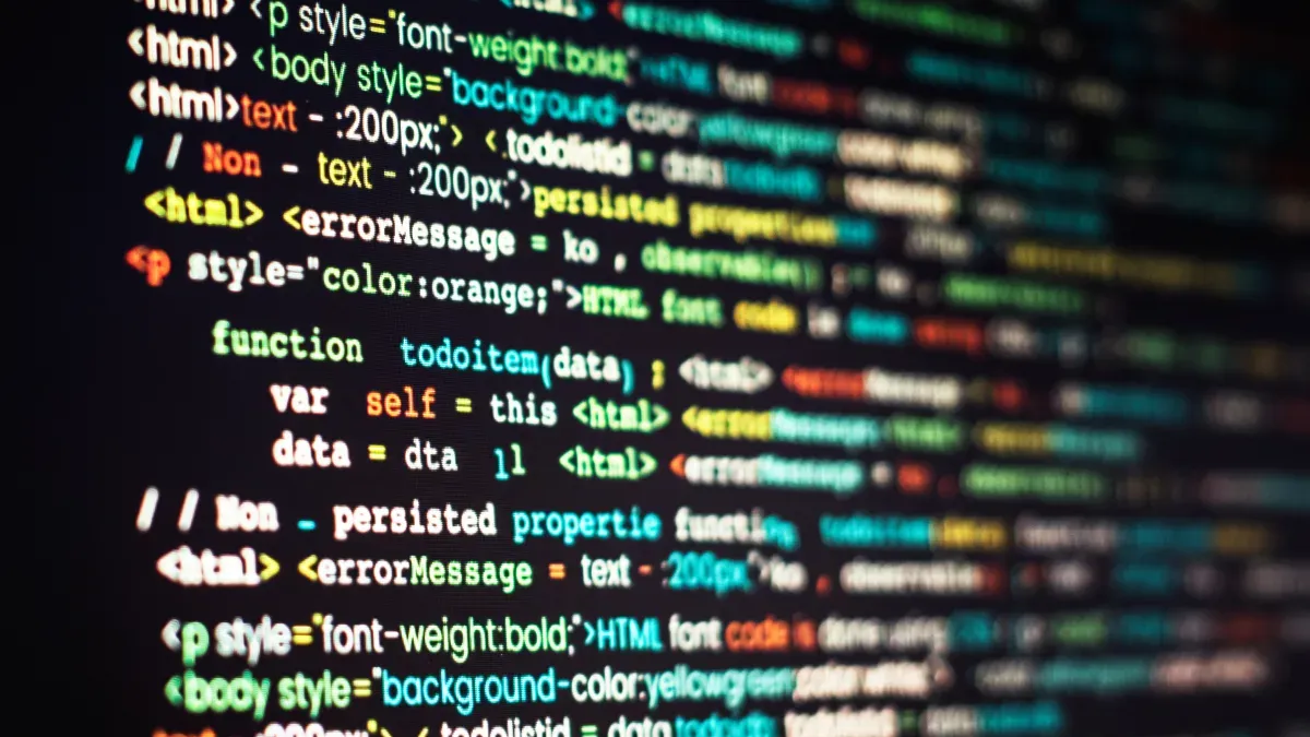 Professional Web Development Services