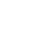 Developer Team