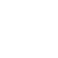 Cyber Security