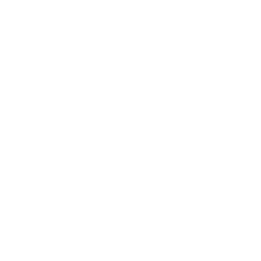 Digital Assets
