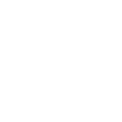 Technical Audit